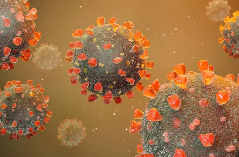 El herpes zóster, conocido popularmente como culebrilla.