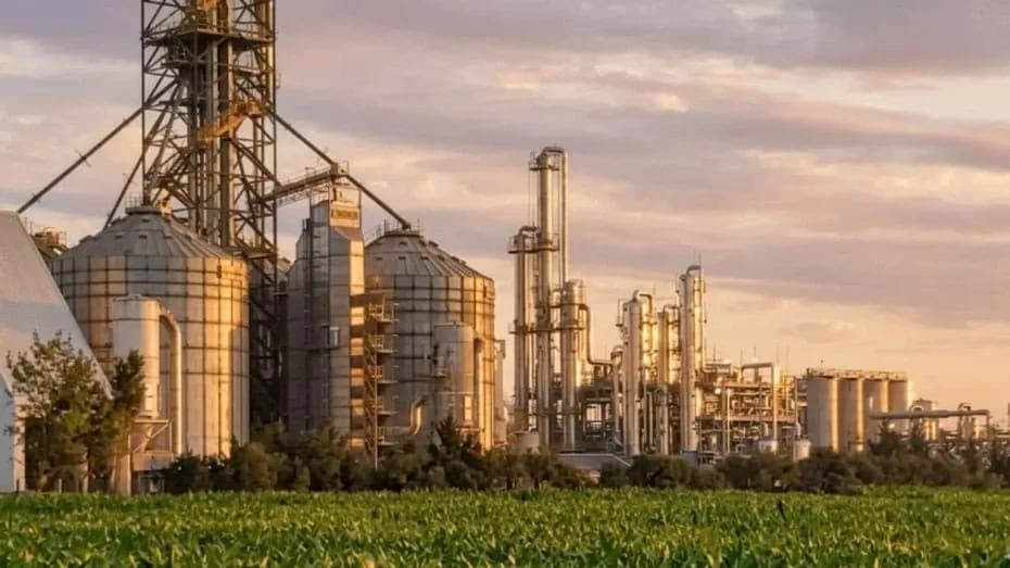 Más cortes obligatorios, nuevas reglas de comercialización y mayor competencia son algunos de los cambios que propone el proyecto que ya obtuvo media sanción en el Senado.